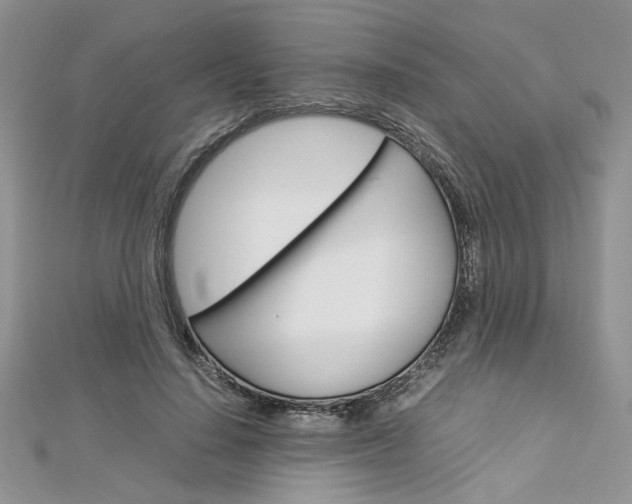 X0000113070644200908281011