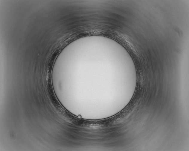 X0000113070645200908281011