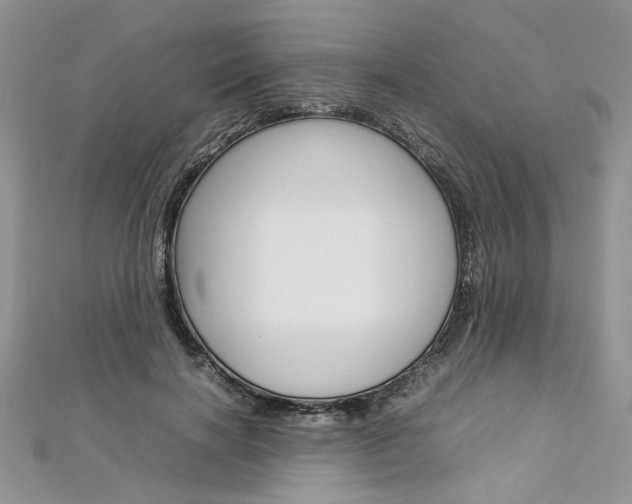 X0000113070646200908281011