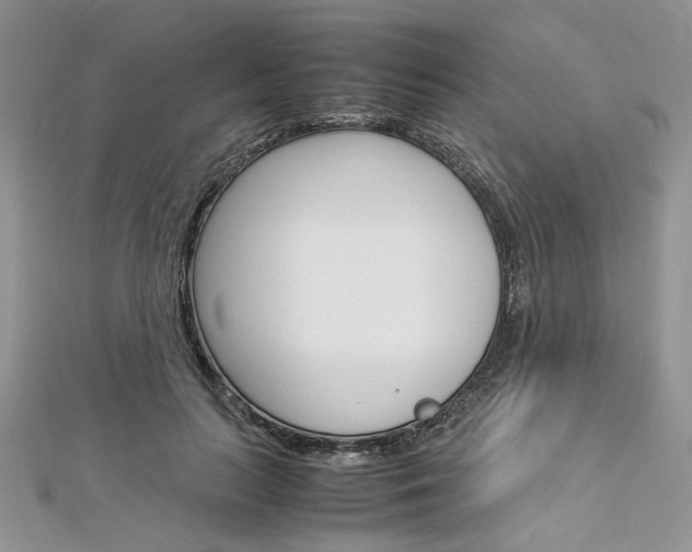 X0000113070647200908281011