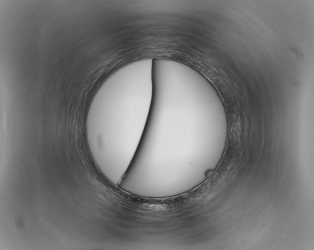 X0000113070649200908281011