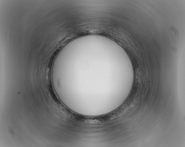 X0000113070650200908281011