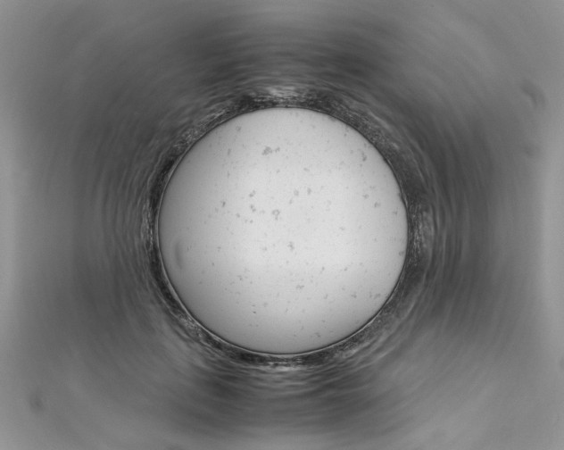 X0000113070651200908281011