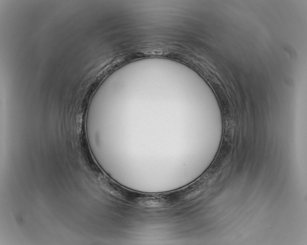 X0000113070652200908281011