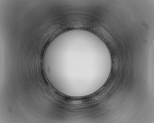 X0000113070653200908281011