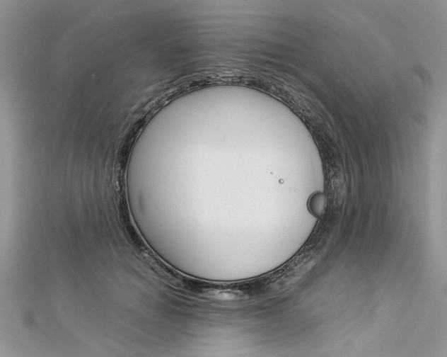 X0000113070654200908281011
