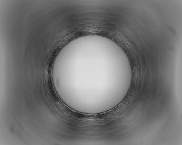 X0000113070655200908281011