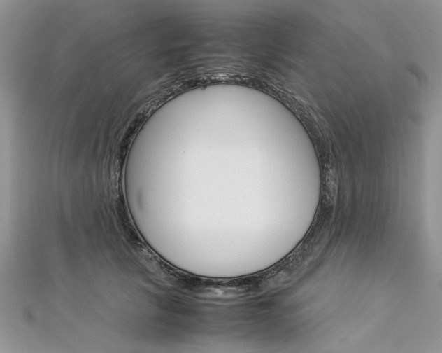 X0000113070657200908281011