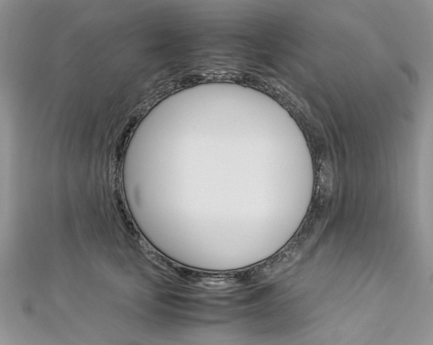 X0000113070659200908281011