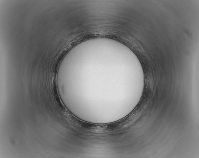 X0000113070660200908281011