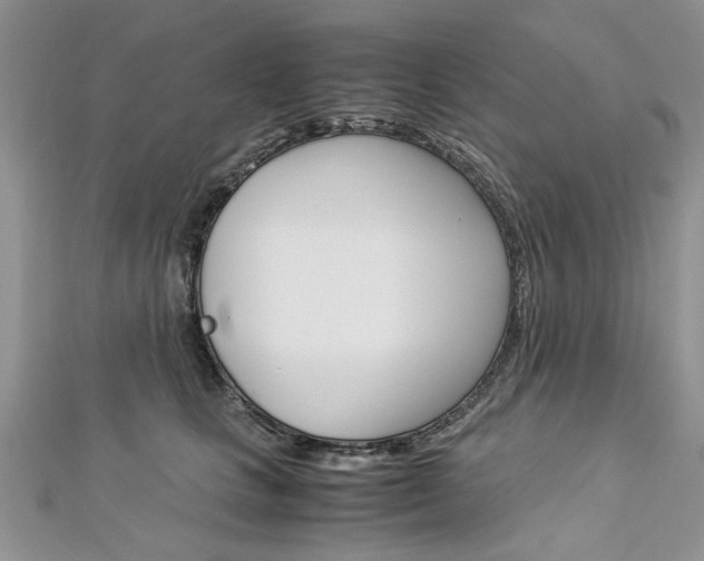 X0000113070661200908281011