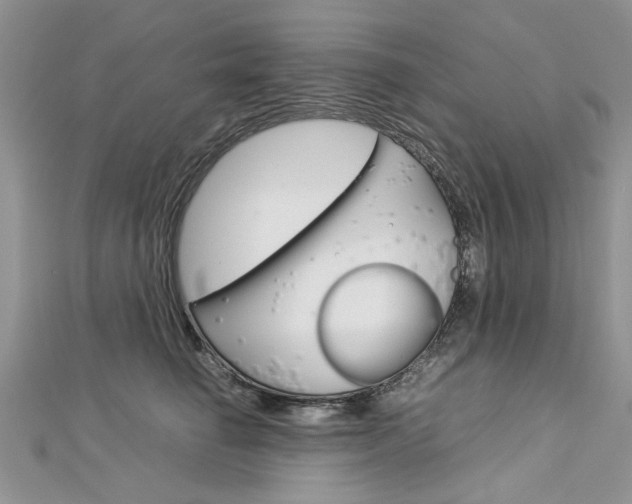 X0000113070662200908281011