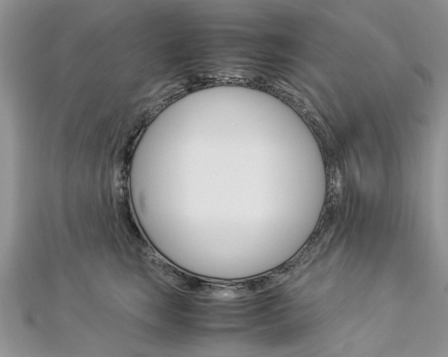X0000113070663200908281011