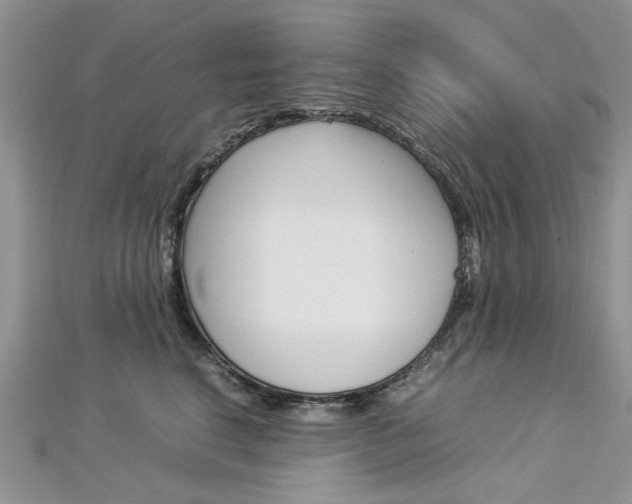 X0000113070664200908281011