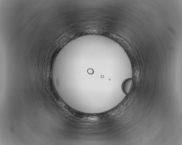 X0000113070665200908281011