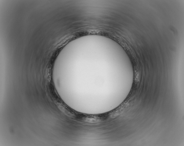 X0000113070666200908281011