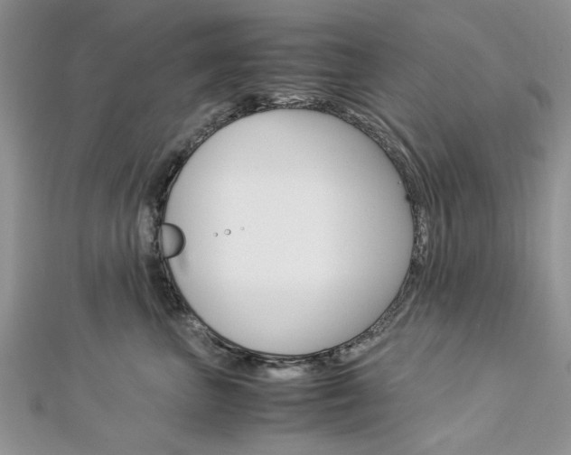 X0000113070667200908281011