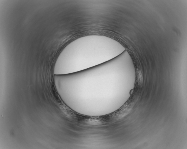 X0000113070668200908281011
