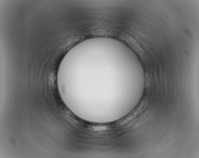 X0000113070669200908281011