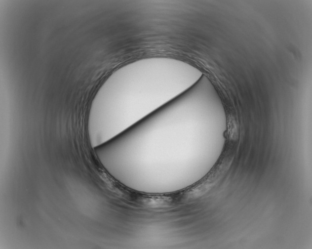 X0000113070670200908281011