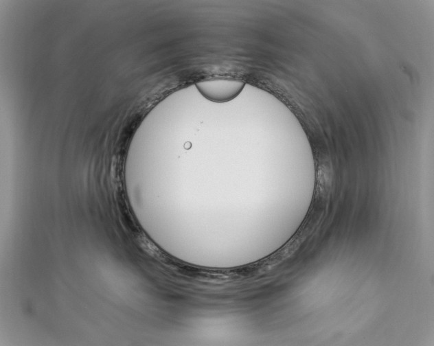 X0000113070671200908281011