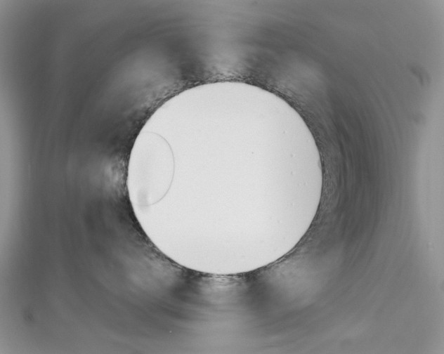 X0000113070672200908281011