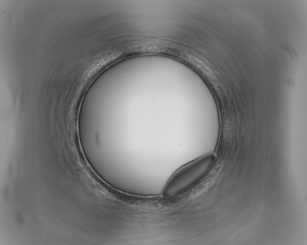 X0000113070673200908281011