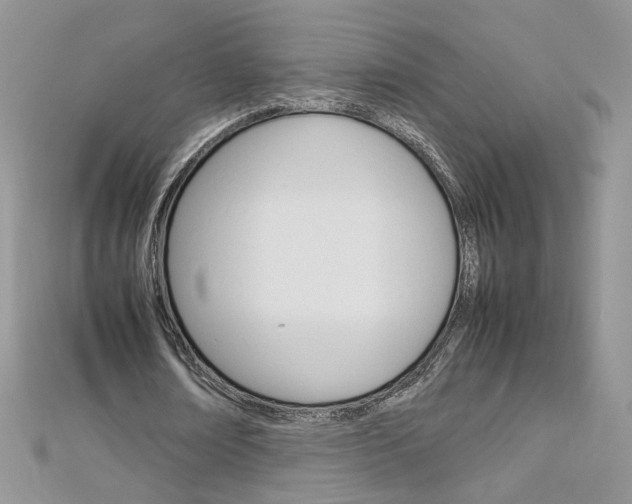 X0000113070674200908281010