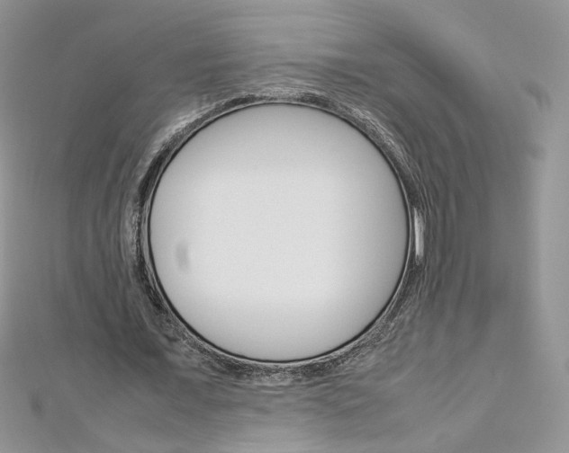 X0000113070675200908281010