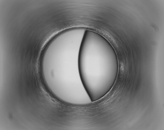 X0000113070676200908281010