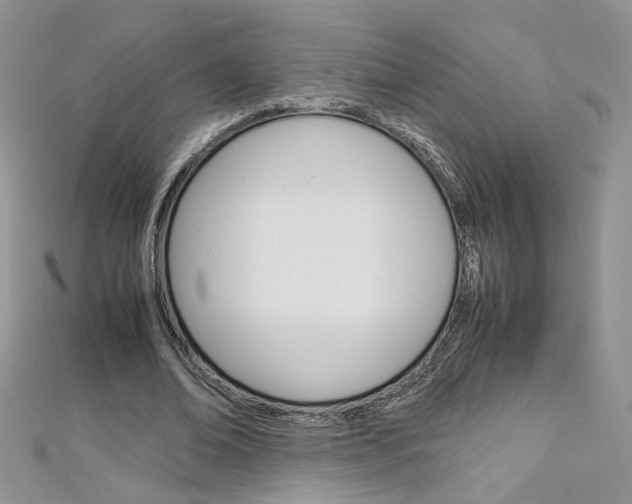 X0000113070678200908281010