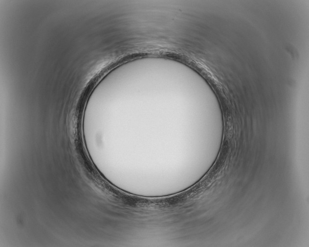 X0000113070679200908281010