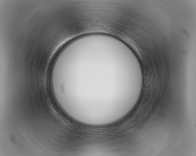X0000113070680200908281010