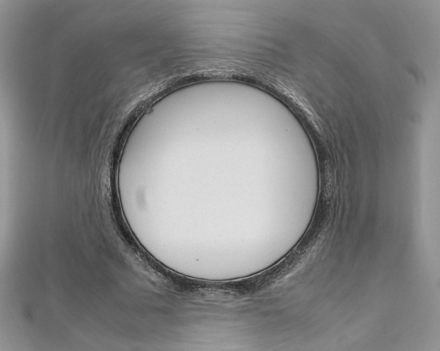 X0000113070681200908281010