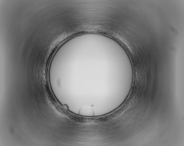 X0000113070682200908281010