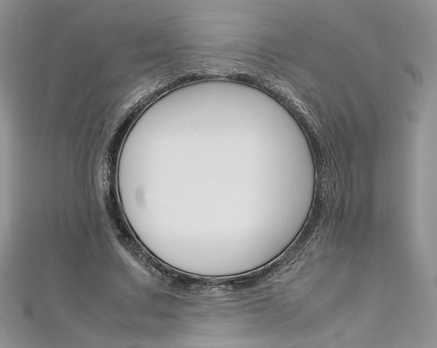 X0000113070683200908281010