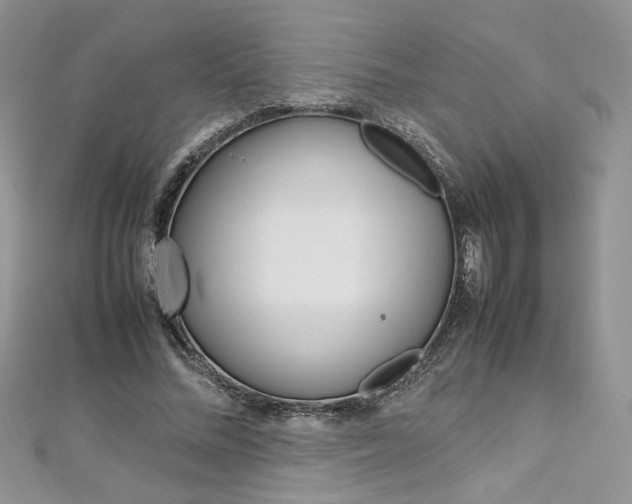 X0000113070684200908281010