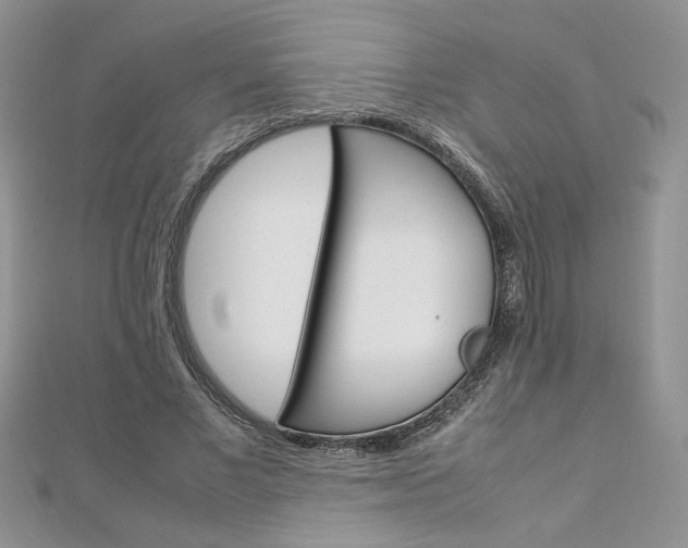 X0000113070685200908281010