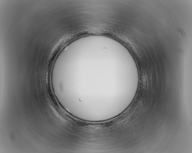 X0000113070686200908281010