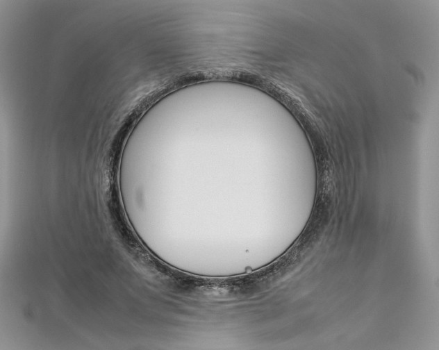X0000113070687200908281010