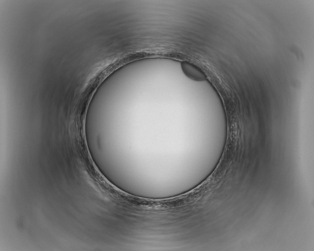 X0000113070688200908281010