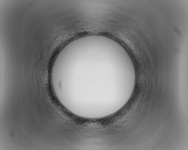 X0000113070689200908281010