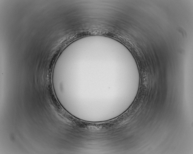 X0000113070690200908281010