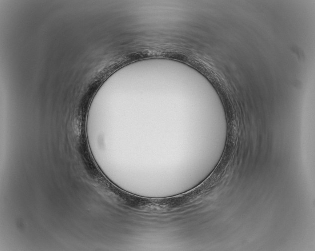 X0000113070691200908281010