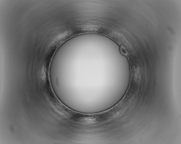 X0000113070692200908281010