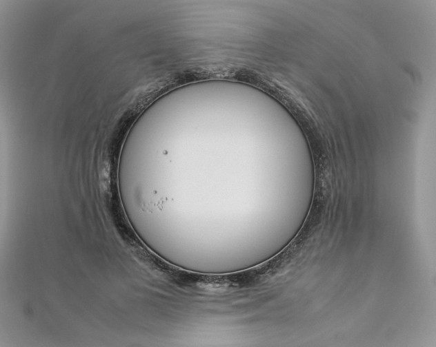 X0000113070693200908281010