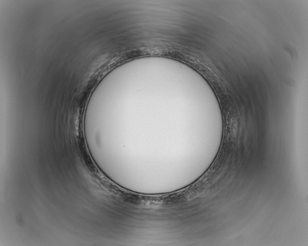 X0000113070694200908281010