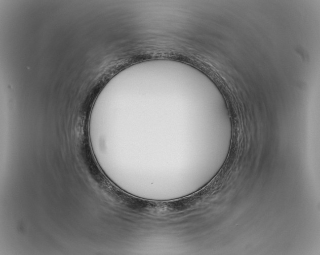X0000113070695200908281010