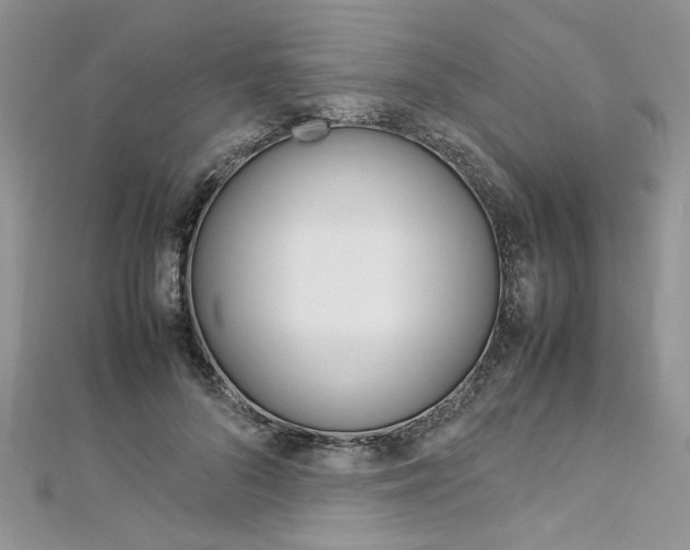 X0000113070696200908281010