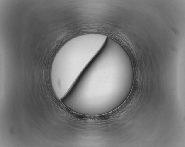 X0000113070697200908281010